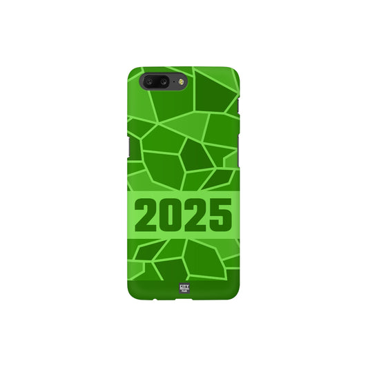 2025 Year Apple iPhone 14 Pro Max Glass Mobile Cover Cases (Liril Green)